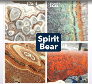 Spirit Bear Rocks display